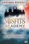 [Misfits Academy 01] • Misfits Academy - Als wir Helden wurden · Auftakt der atemberaubenden Urban-Fantasy-Reihe. (Die Misfits-Academy-Reihe 1)